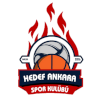 Yedidağ Spor (Bayanlar)