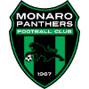 Monaro Panthers FC