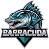 Barracuda (2x2)