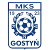 Gornik Konin