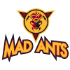 Mad Ants