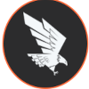 The WarriorsQ