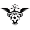 Halcones Negros