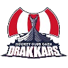 Drakkars de Caen