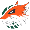 Plymouth Raiders