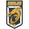 Hong Kong Dragons