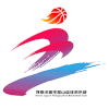 Henan Phoenix (Bayanlar)