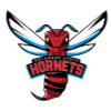 Delaware State Hornets (Bayanlar)