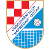 Borac