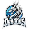 Hidden Dragon